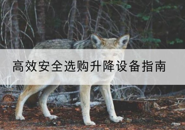 安丘升降货梯厂家推荐-*安全选购升降设备指南