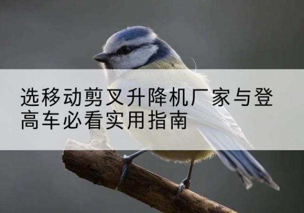 安丘电动升降机厂家-选移动剪叉升降机厂家与登高车必看实用指南
